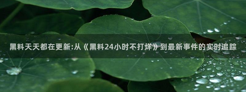 51吃瓜安卓下载