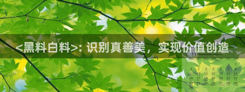 51吃瓜网 张津瑜