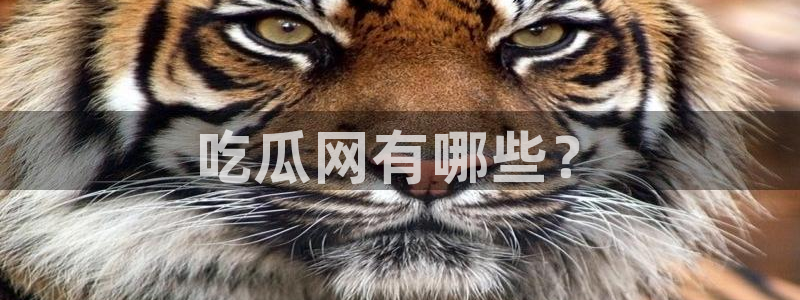 ccgg今日吃瓜