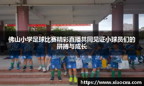K8凯发下载