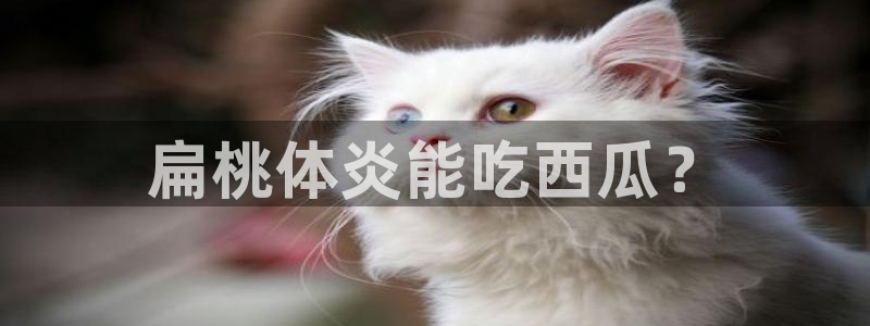 高血糖可以吃贝贝瓜吗：扁桃体炎能吃西瓜？