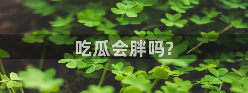 吃瓜.