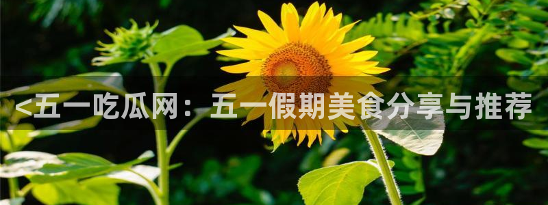 高血糖可以吃贝贝瓜吗：<五一吃瓜网：五一假期美食分享与推荐