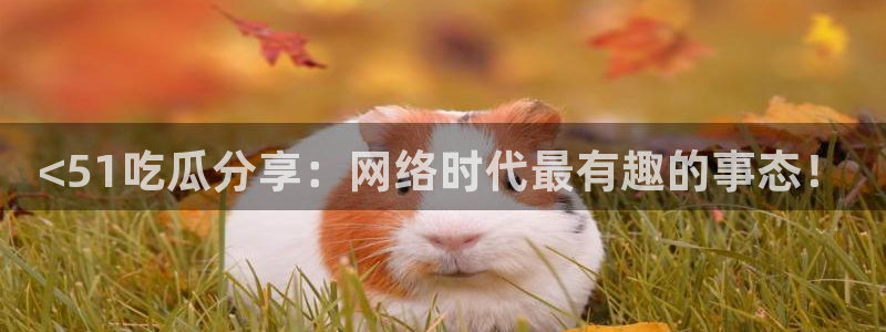 各种网红爆料吃瓜:<51吃瓜分享:网络时代最有趣的事态!