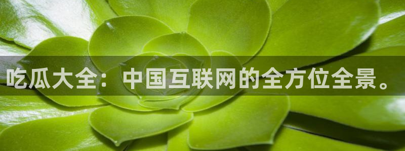 51吃瓜今日必吃刀刀:吃瓜大全:中国互联网的全方位全景。