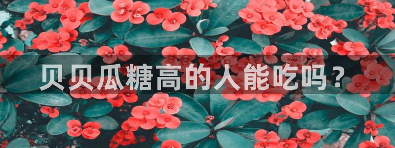yourport吃瓜网：贝贝瓜糖高的人能吃吗？