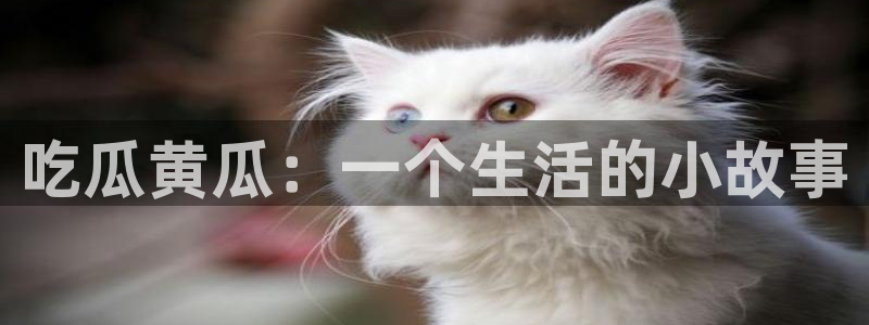 51吃瓜今日吃瓜莫里秀：吃瓜黄瓜：一个生活的小故事