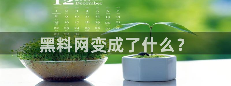 www.吃瓜：黑料网变成了什么？