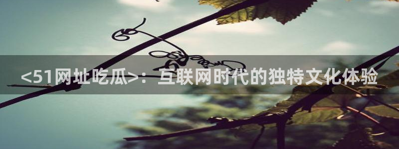 吃瓜事件：<51网址吃瓜>：互联网时代的独特文化体验