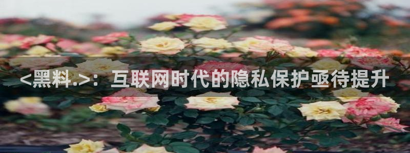 51全网更新最快最全的吃瓜网：<黑料.>：互联网时代的隐私保护亟待提升