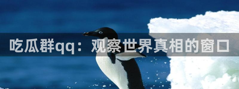 吃瓜新闻:吃瓜群qq:观察世界真相的窗口