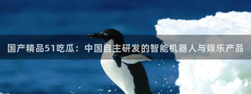 吃瓜.：国产精品51吃瓜：中国自主研发的智能机器人与娱乐产品