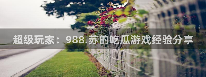 cg吃瓜群众最新版网址:超级玩家:988.苏的吃瓜游戏经验分享