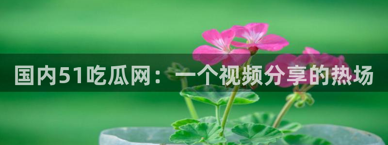 ccgg今日吃瓜:国内51吃瓜网:一个视频分享的热场