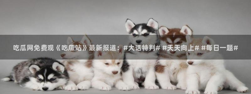 718.sⅹ 吃瓜:吃瓜网免费观《吃瓜站》最新报道:#大话特判# #天天向上# #每日一题#