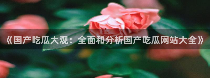 高血糖可以吃贝贝瓜吗：《国产吃瓜大观：全面和分析国产吃瓜网站大全》