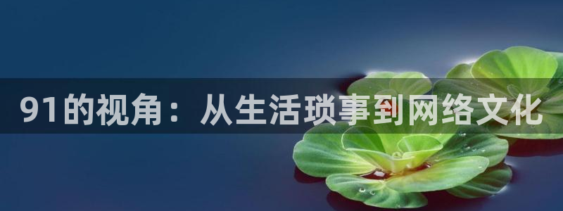 51吃瓜网小鹿酱：91的视角：从生活琐事到网络文化