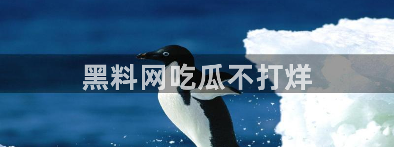 51cg热门大瓜今日吃瓜:黑料网吃瓜不打烊