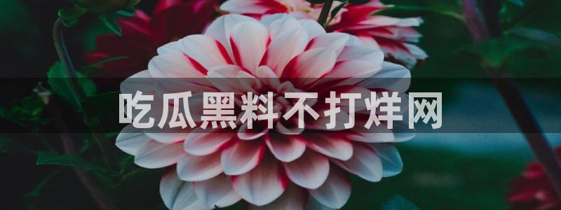 51今日吃瓜热门爆料：吃瓜黑料不打烊网