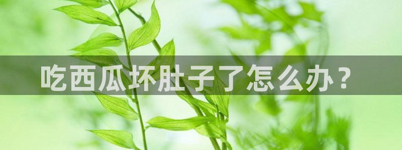 51吃瓜今日大瓜必吃大瓜：吃西瓜坏肚子了怎么办？