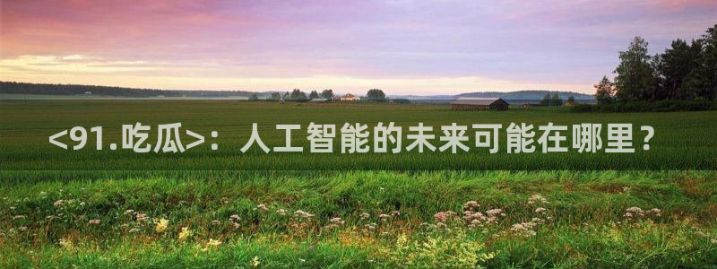 吃瓜不打烊–吃瓜,不打烊：<91.吃瓜>：人工智能的未来可能在哪里？