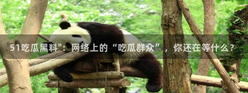 24小时吃瓜不间断：51吃瓜黑料\