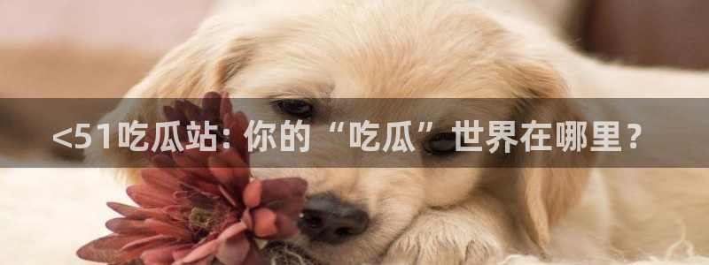 51吃瓜onlyfans网黄：<51吃瓜站: 你的“吃瓜”世界在哪里？