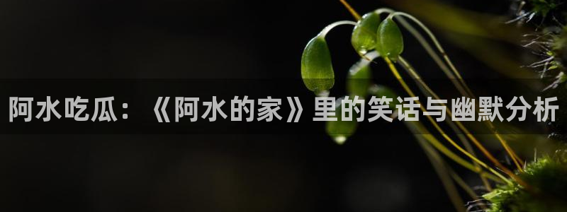 51吃瓜网 张津瑜:阿水吃瓜:《阿水的家》里的笑话与幽默分析