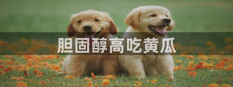 51吃瓜今日吃瓜热门吃瓜