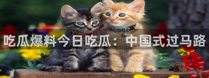 吃瓜吃瓜:吃瓜爆料今日吃瓜:中国式过马路